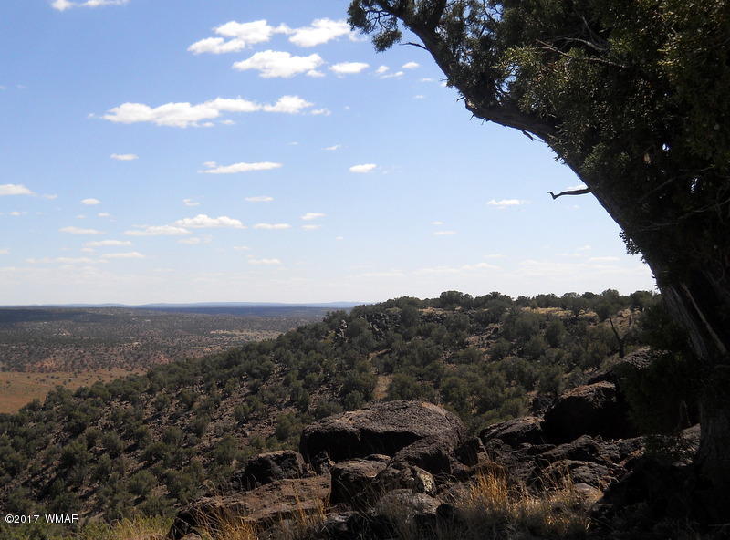 4166 Dia Estrella Road Snowflake, AZ 85937 - Photo 23 of 66 Gallery Image 23