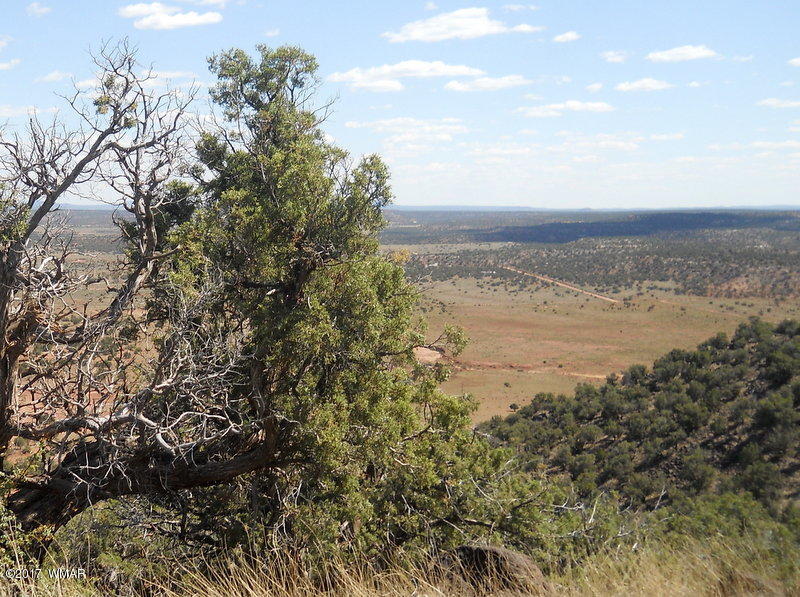 4166 Dia Estrella Road Snowflake, AZ 85937 - Photo 24 of 66 Gallery Image 24