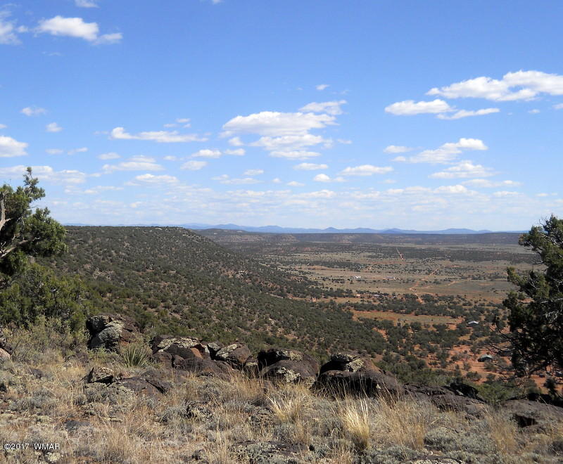 4166 Dia Estrella Road Snowflake, AZ 85937 - Photo 35 of 66 Gallery Image 35
