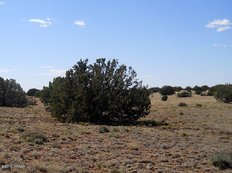 4166 Dia Estrella Road Snowflake, AZ 85937 - Photo 42 of 66 Gallery Image 42