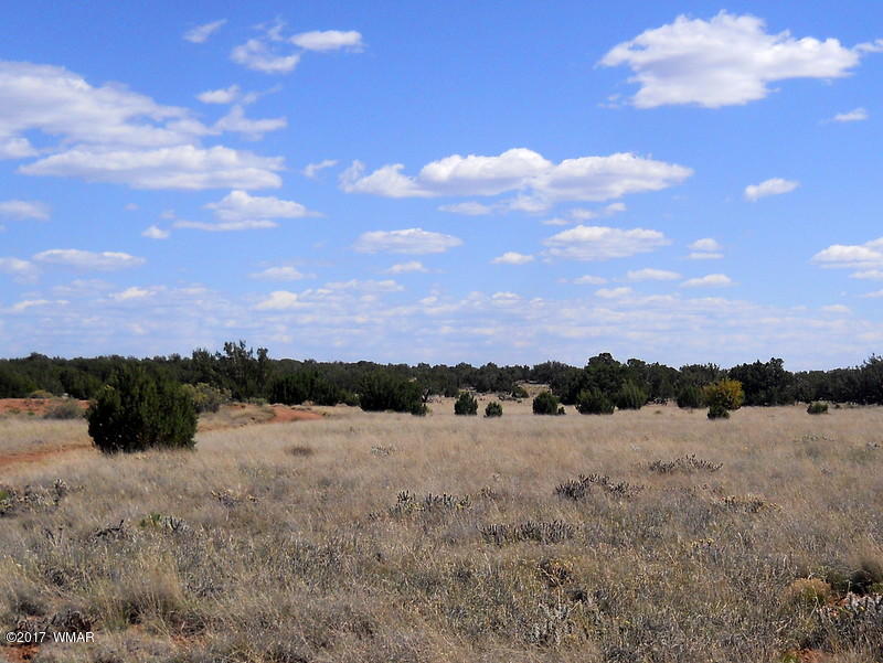 4166 Dia Estrella Road Snowflake, AZ 85937 - Photo 65 of 66 Gallery Image 65