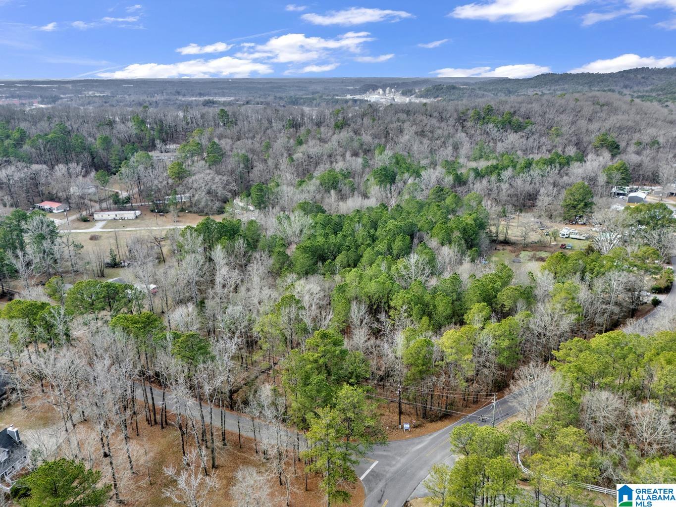 1383 Camp Branch Road, Unit 1 Alabaster, AL 35007 - Photo 12 of 20