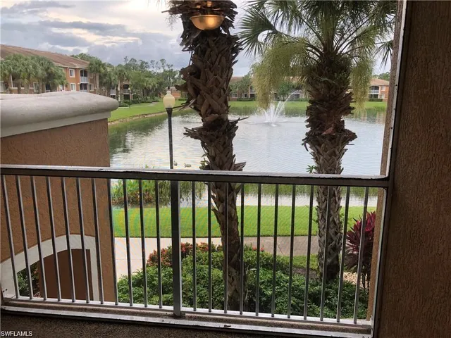 a view of a lake with a yard and palm trees