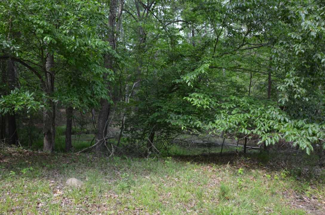 823 Linersville Road Buffalo, SC 29321 - Photo 11 of 18