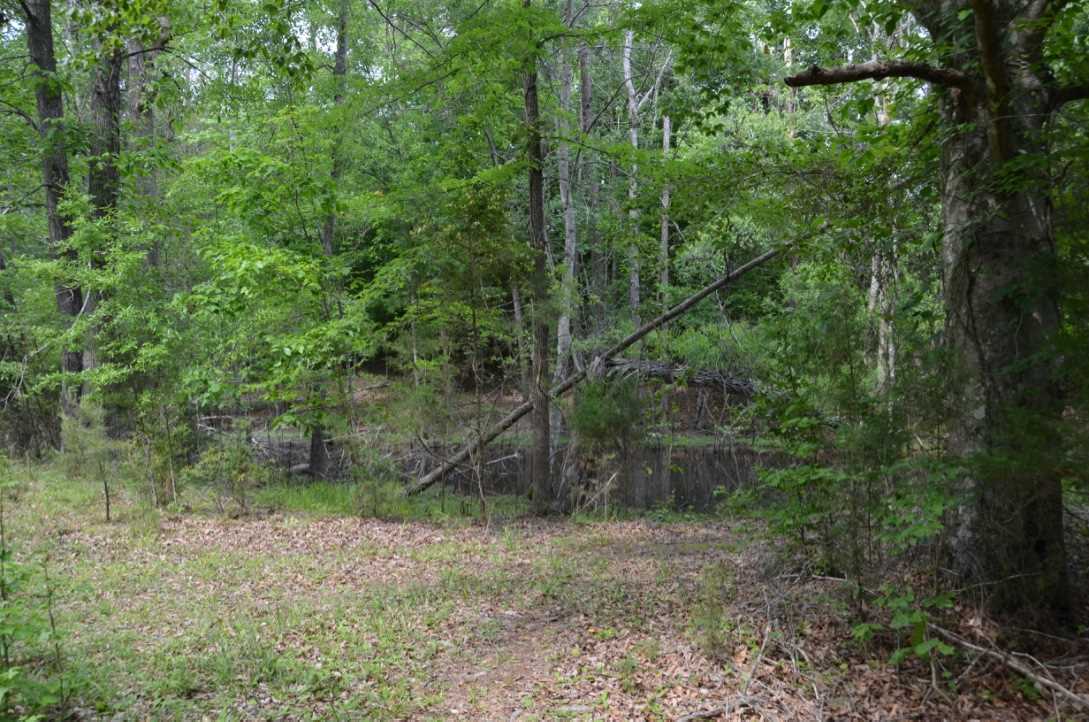 823 Linersville Road Buffalo, SC 29321 - Photo 12 of 18