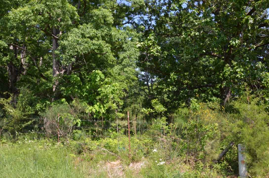 823 Linersville Road Buffalo, SC 29321 - Photo 13 of 18