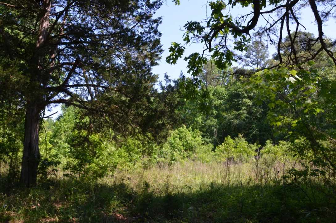 823 Linersville Road Buffalo, SC 29321 - Photo 16 of 18