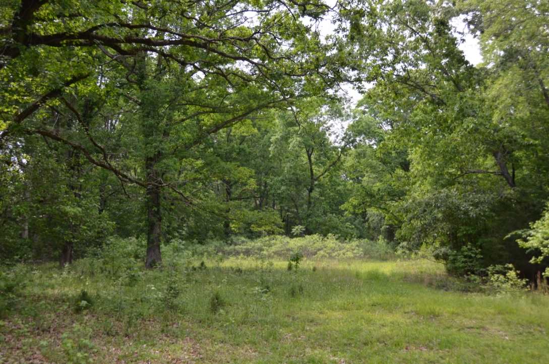 823 Linersville Road Buffalo, SC 29321 - Photo 7 of 18