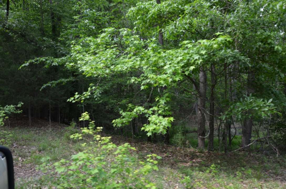 823 Linersville Road Buffalo, SC 29321 - Photo 8 of 18