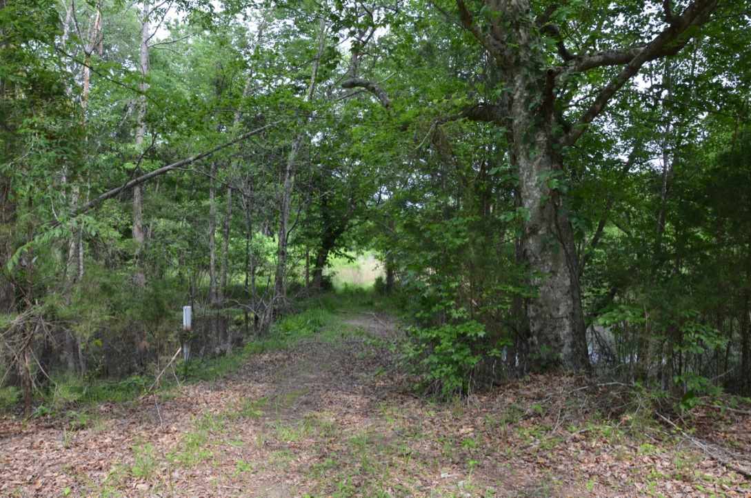 823 Linersville Road Buffalo, SC 29321 - Photo 9 of 18