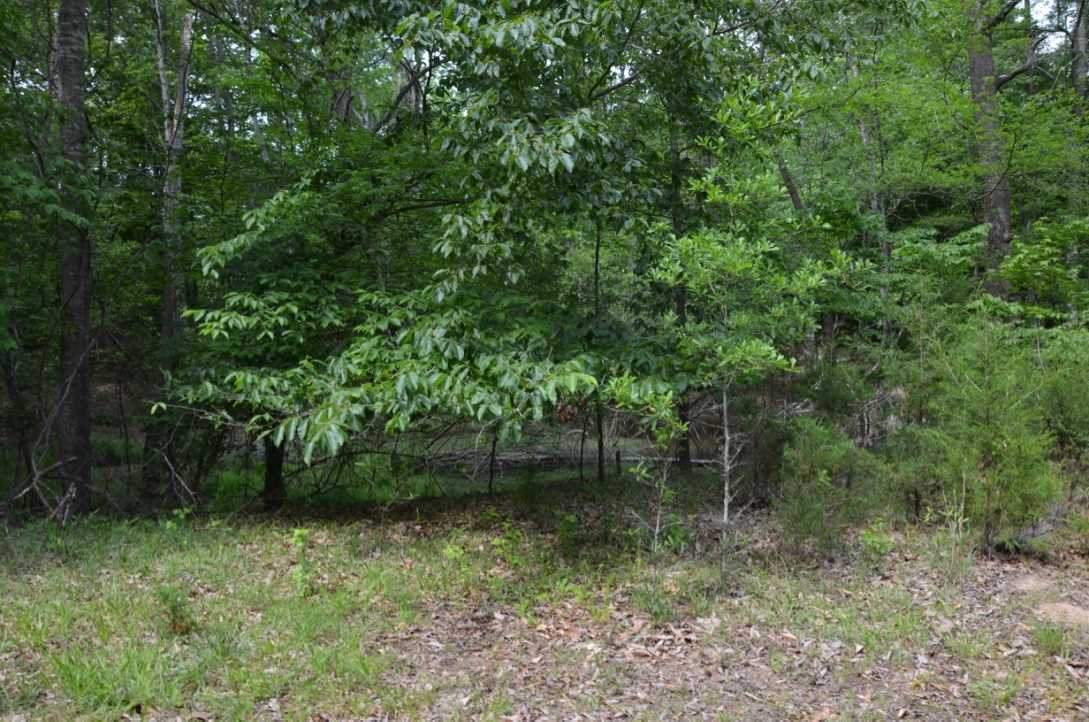 823 Linersville Road Buffalo, SC 29321 - Photo 10 of 18