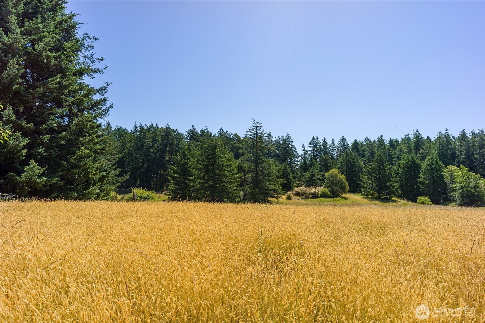 2783 Orcas Road Orcas Island, WA 98245 - Photo 19 of 30