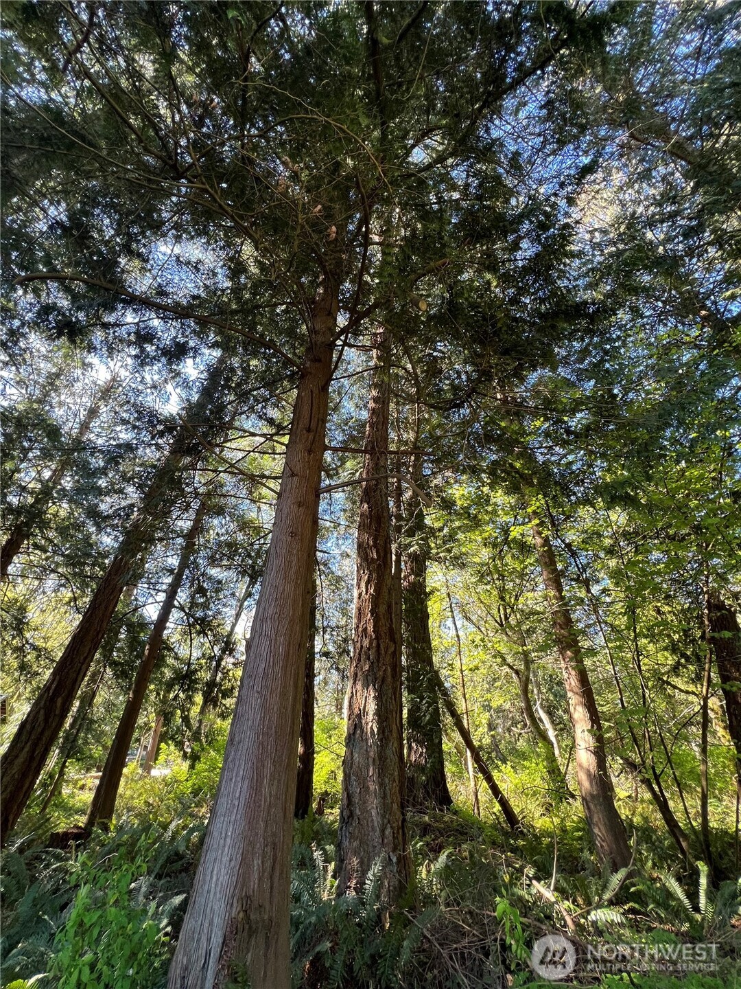 412 High Bluff Dr Point Point Roberts, WA 98281 - Photo 21 of 29