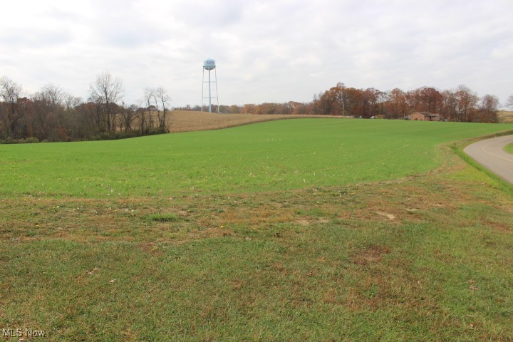 Lowell Hill Road Waterford, OH 45786 - Photo 1 of 3 View of yard