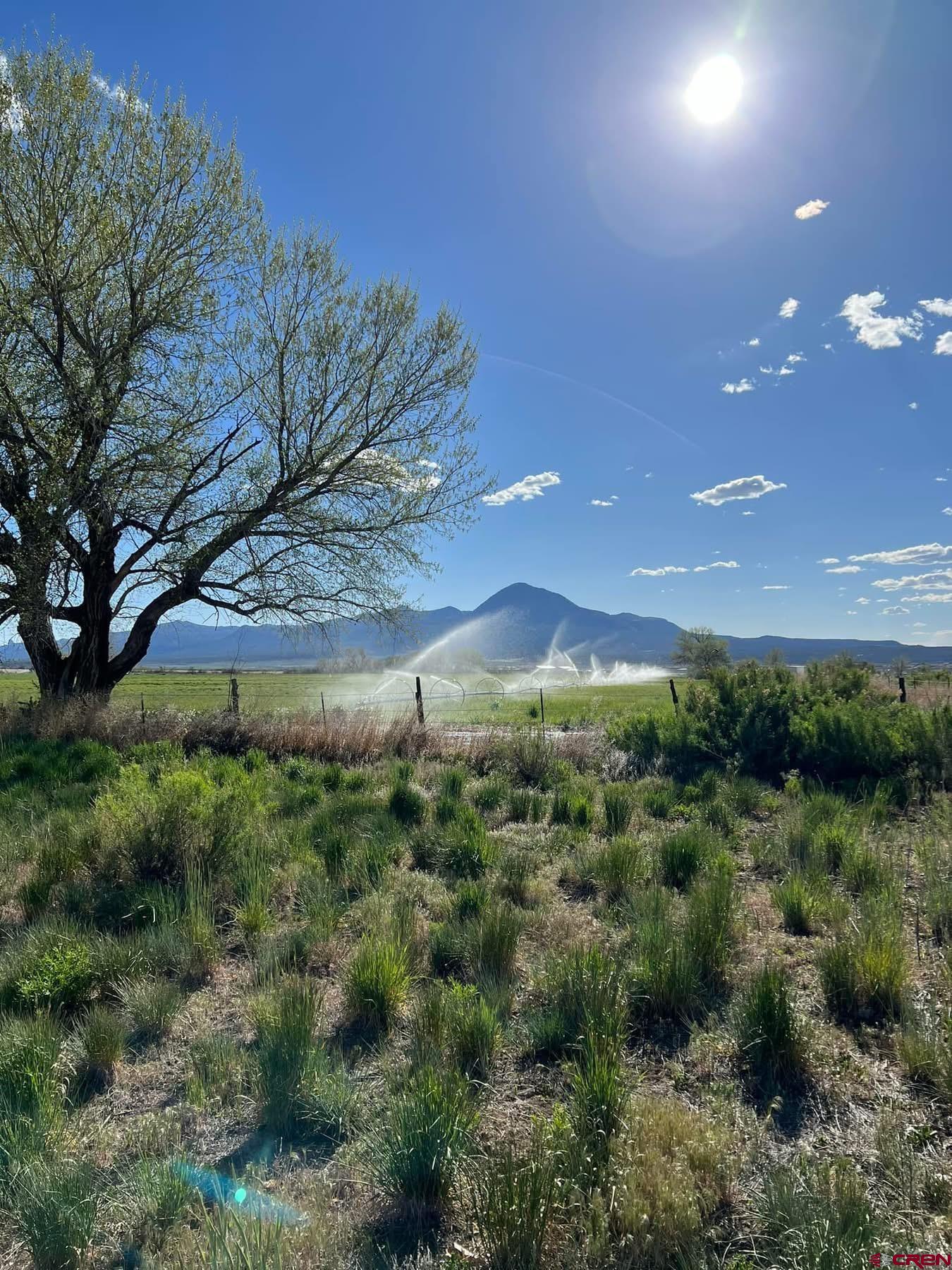 6493 Road 23.6 Cortez, CO 81321 - Photo 29 of 44 a view of a multi story yard