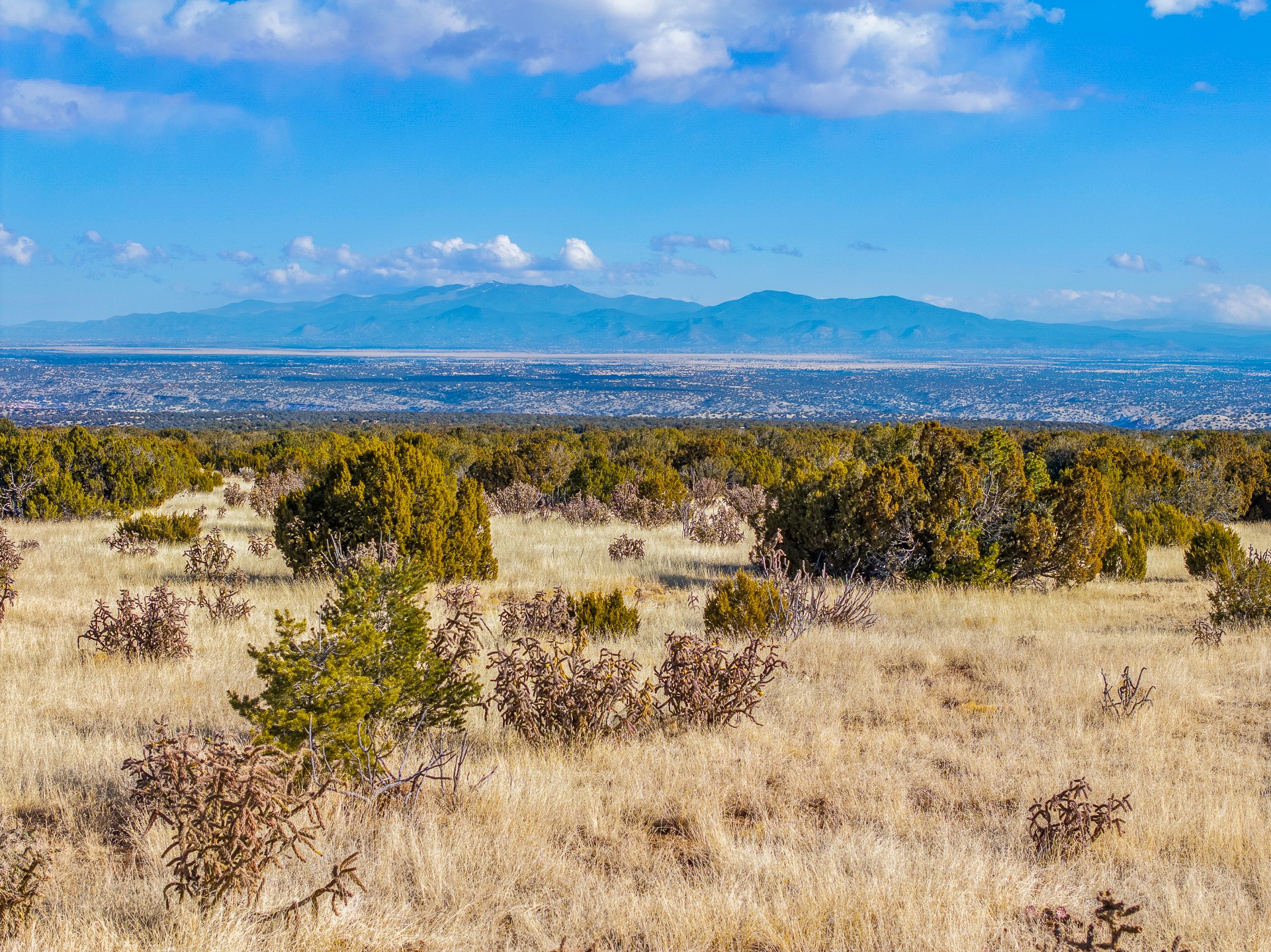 156 Wagon Trail Road Cerrillos, NM 87010 - Photo 6 of 24