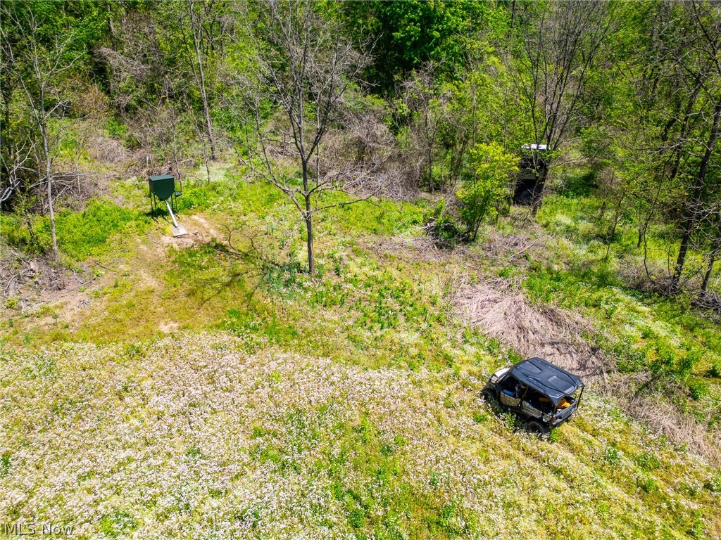 37500 Goose Run Road Dexter City, OH 45727 - Photo 3 of 50