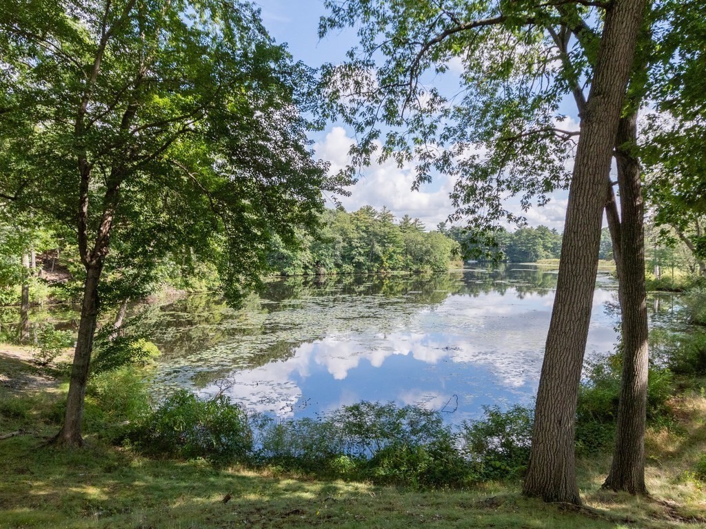 72 Charles River Road, Unit C Waltham, MA 02453 - Photo 15 of 18 Gallery Image 15