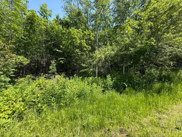 $25,000 | 158-050-3 158-050-3 Vfw Street, Lincoln, ME 04457