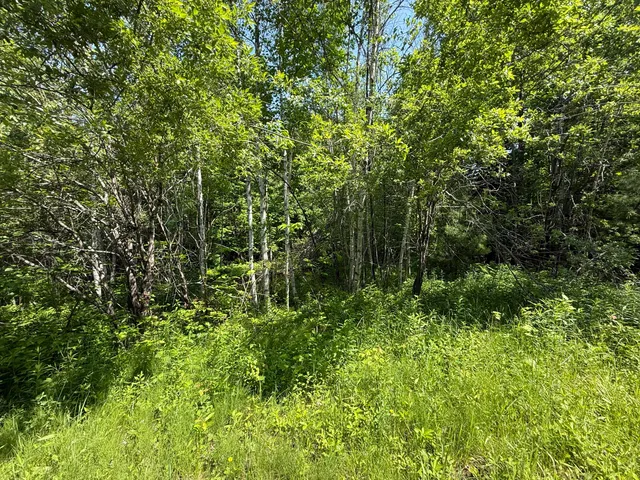 $25,000 | 158-050-3 158-050-3 Vfw Street, Lincoln, ME 04457