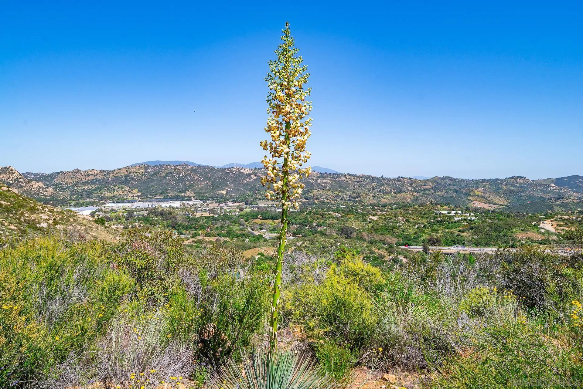 0 Rainbow Glen Fallbrook, CA 92028 - Photo 14 of 26 a view of a city with lush green forest