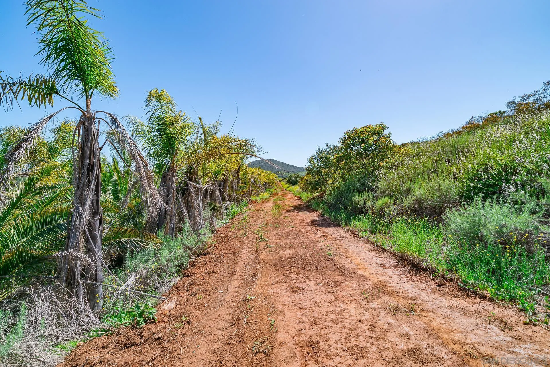 0 Rainbow Glen Fallbrook, CA 92028 - Photo 17 of 26 a view of a pathway with a garden