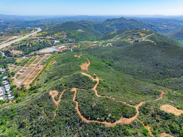 an aerial view of mountain with trees