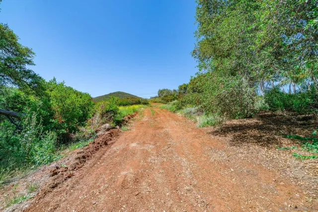 a view of a dirt road with trees in the background