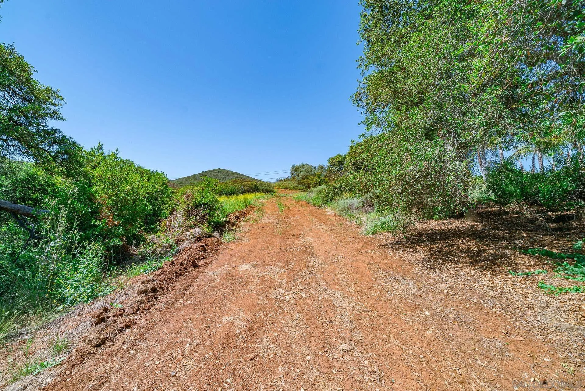 0 Rainbow Glen Fallbrook, CA 92028 - Photo 8 of 26 a view of a dirt road with trees in the background
