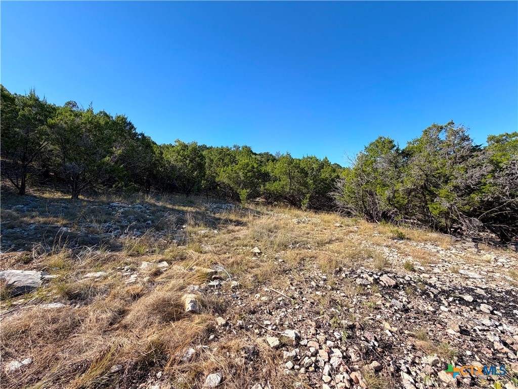 2114 Johnson Road Canyon Lake, TX 78133 - Photo 12 of 16 a view of a yard with a tree