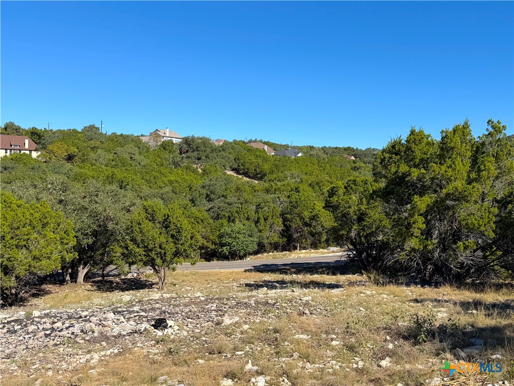 2114 Johnson Road Canyon Lake, TX 78133 - Photo 13 of 16 a view of a yard with a tree