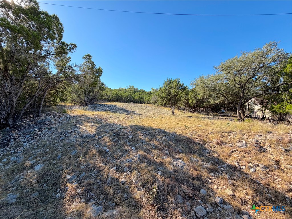 2114 Johnson Road Canyon Lake, TX 78133 - Photo 2 of 16 a view of a yard with a tree