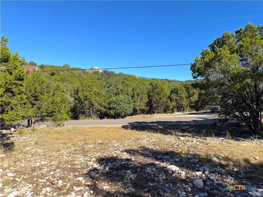 2114 Johnson Road Canyon Lake, TX 78133 - Photo 7 of 16 a view of a yard with trees