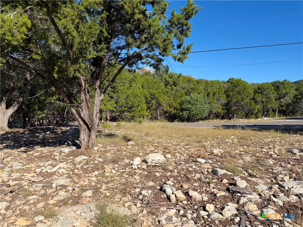 2114 Johnson Road Canyon Lake, TX 78133 - Photo 8 of 16 a view of a yard with a tree