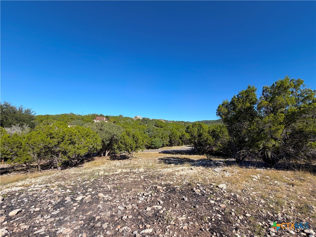 2114 Johnson Road Canyon Lake, TX 78133 - Photo 10 of 16 a view of a road with a yard