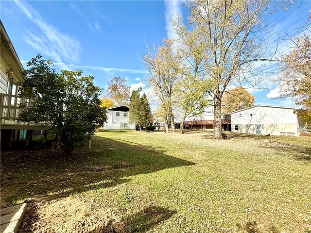 a view of yard with large tree