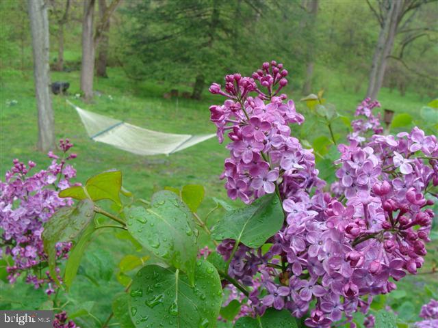 516 King Of Prussia Road Wayne, PA 19087 - Photo 68 of 71