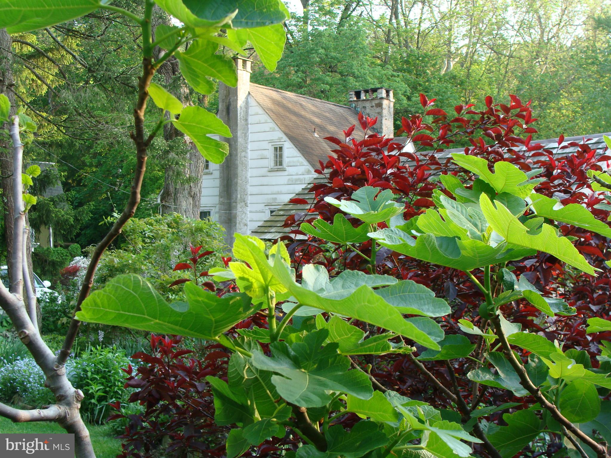 516 King Of Prussia Road Wayne, PA 19087 - Photo 69 of 71