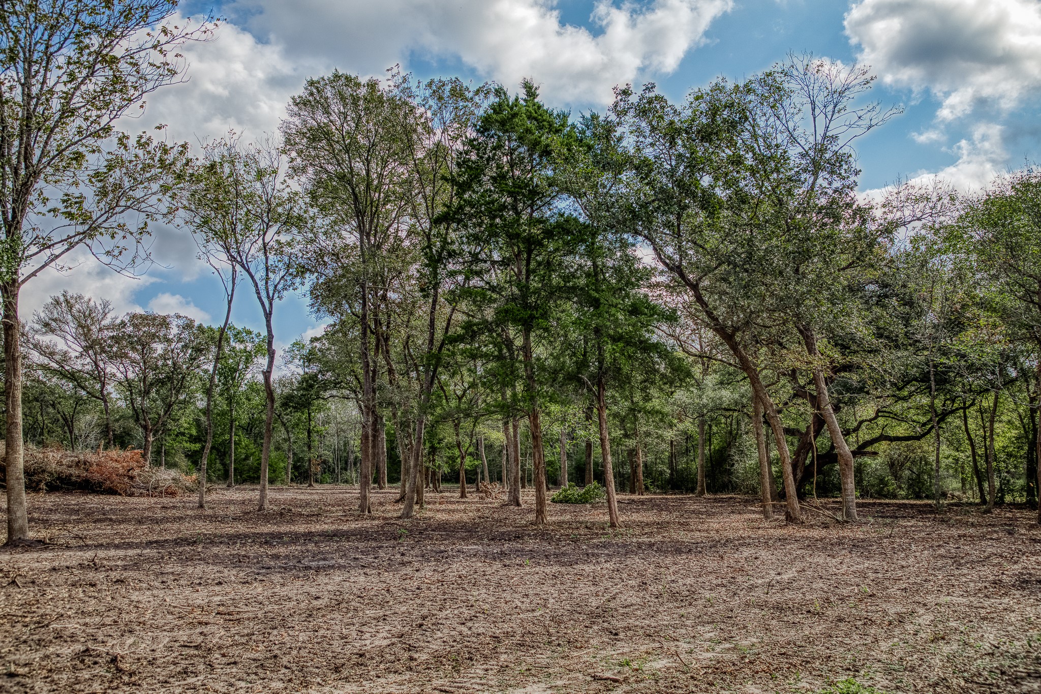 2 Sun Oil Road Brenham, TX 77833 - Photo 14 of 35