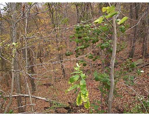 0 Dry Ridge Road St. Albans, WV 25177 - Photo 1 of 5 Land/Lot.