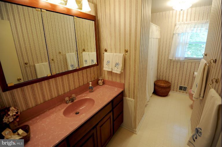 6505 Divine Street McLean, VA 22101 - Photo 23 of 26 a bathroom with a sink a mirror and shower