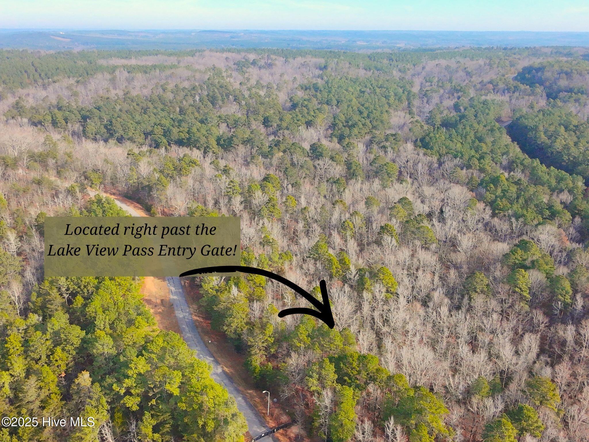 114 Lake View Pass Rockingham, NC 28379 - Photo 4 of 14 2