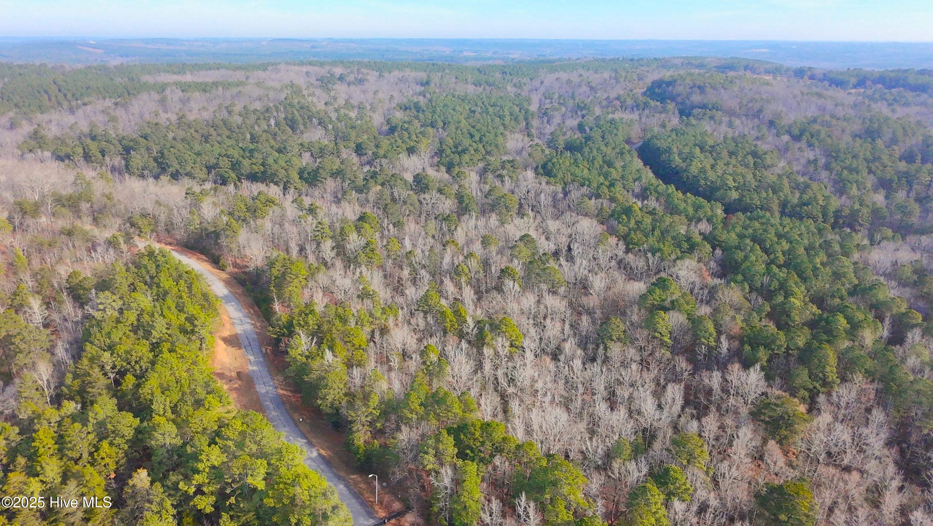 114 Lake View Pass Rockingham, NC 28379 - Photo 6 of 14 dji_fly_20251227_103126_0212_17668712270