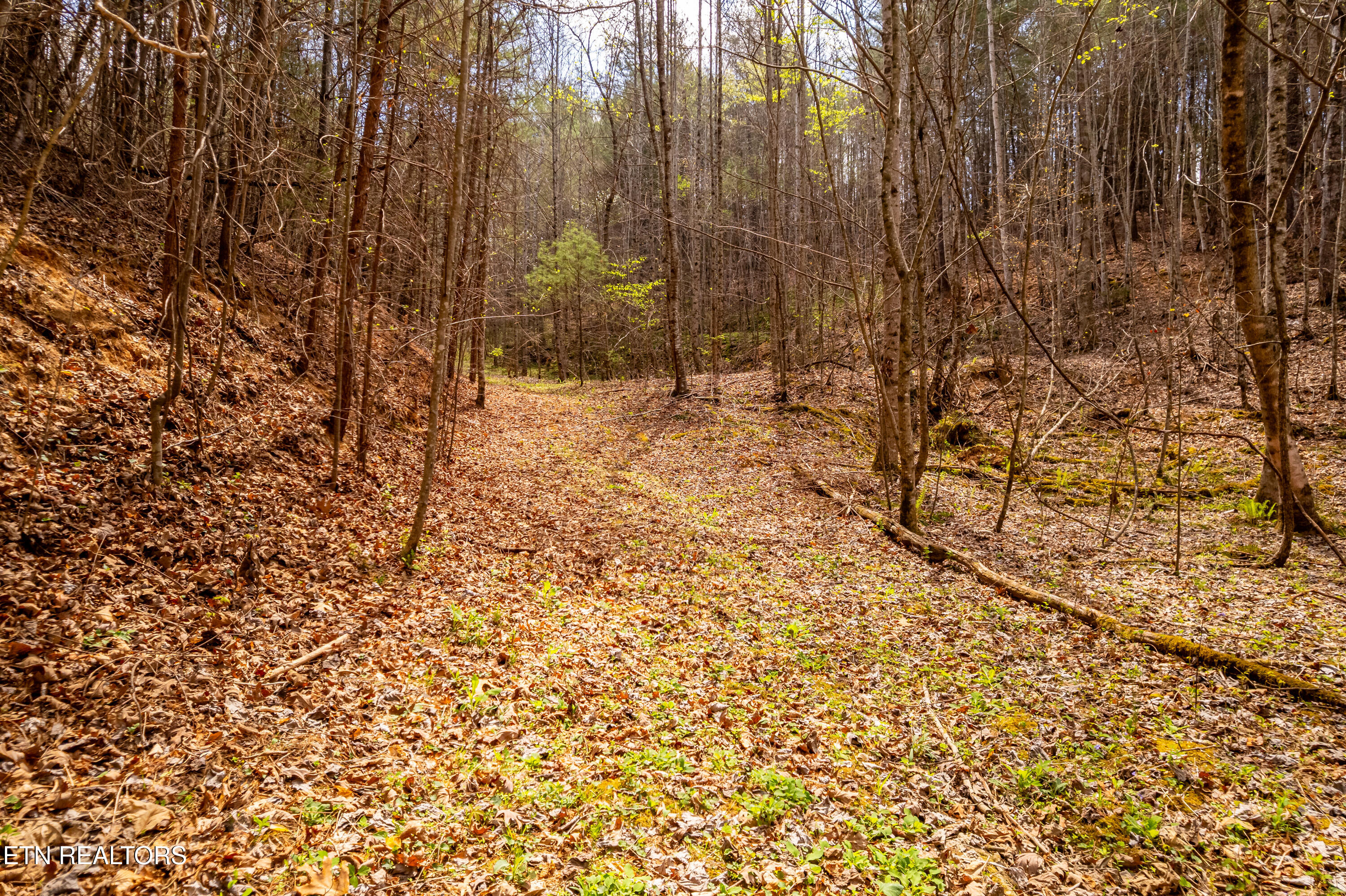 1700 Rafter Road Tellico Plains, TN 37385 - Photo 59 of 60 1700RafterRd-19