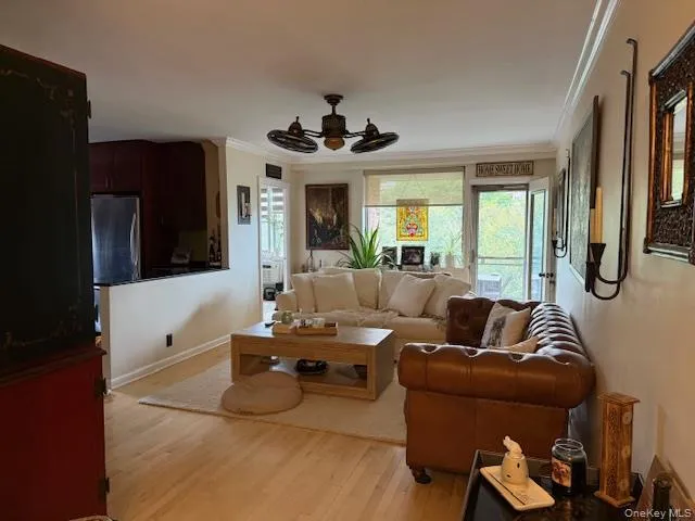 a living room with furniture potted plant and a window