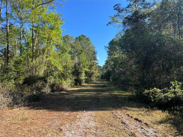 $10,800 | 208 3rd Street, Georgetown, FL 32139