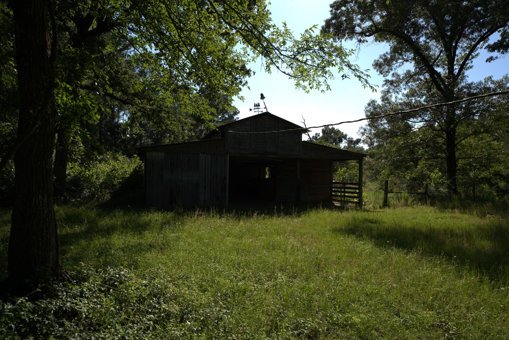 3309 Honea Egypt Road Montgomery, TX 77316 - Photo 28 of 40