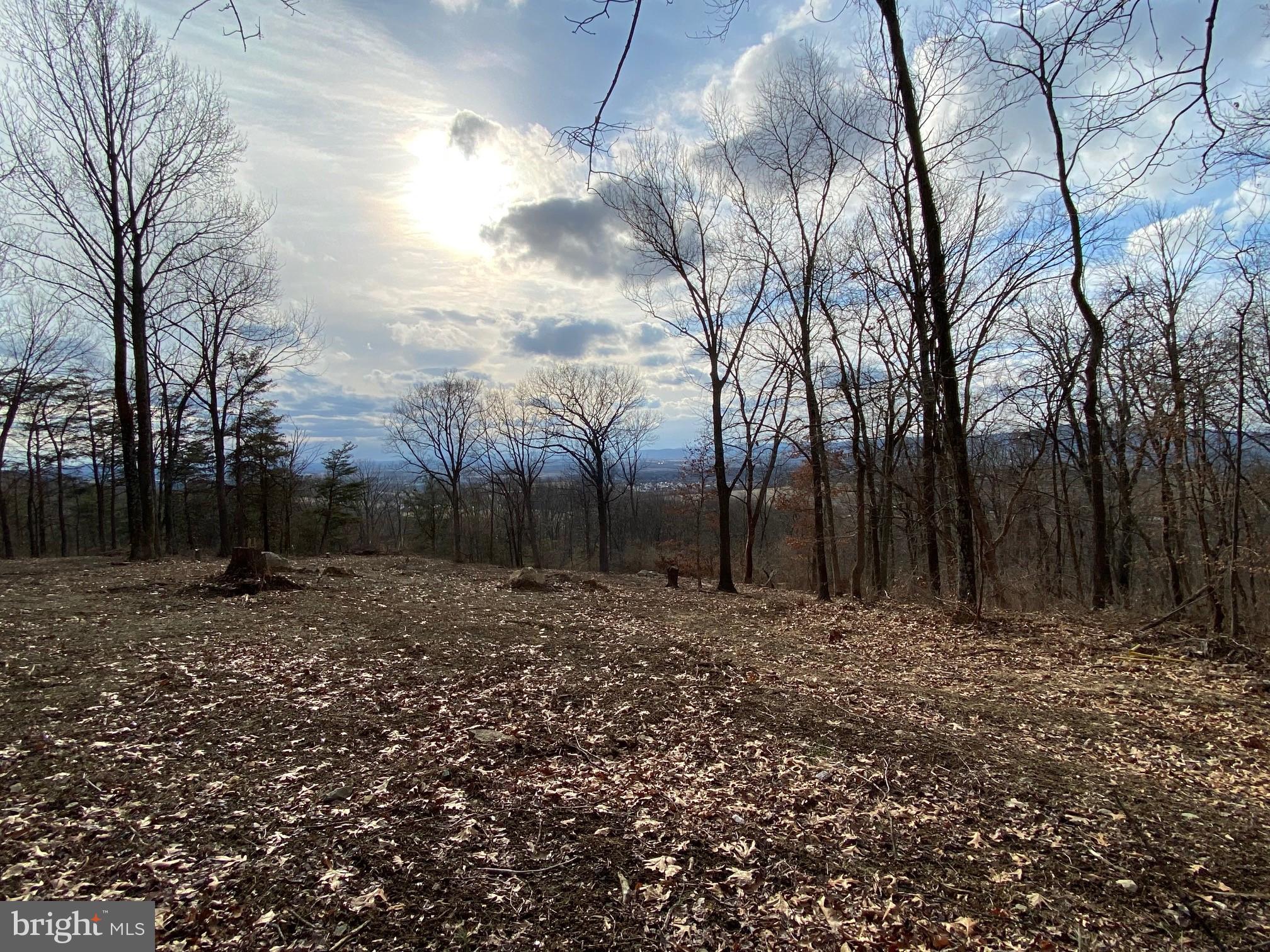 Shookstown Road Middletown, MD 21769 - Photo 2 of 9 Lot clearing and WHAT A VIEW!!!