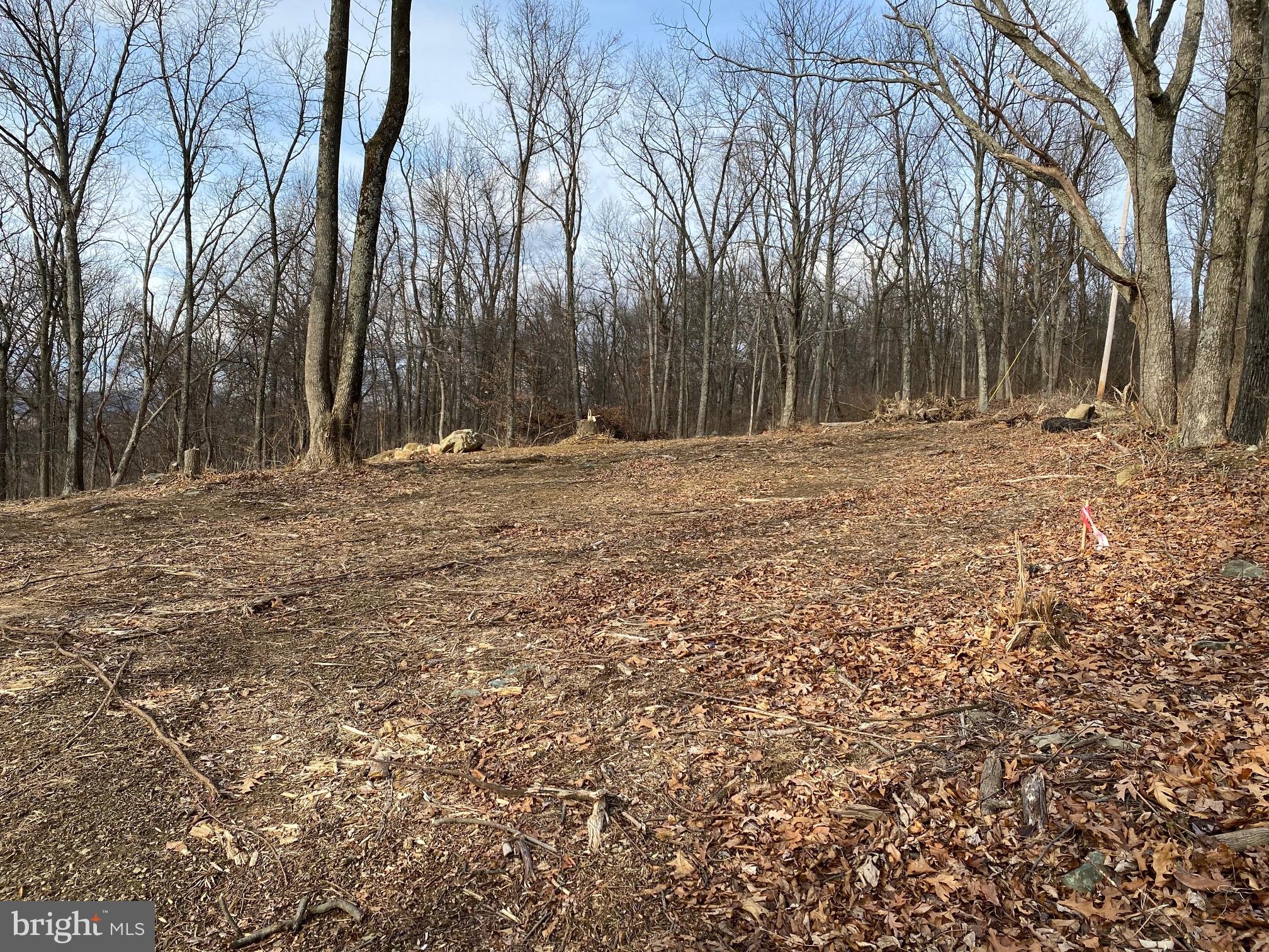 Shookstown Road Middletown, MD 21769 - Photo 3 of 9 Lot Clearing