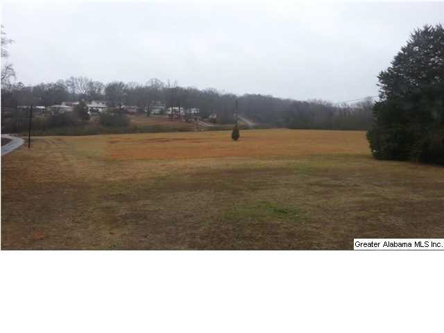 177 Willman Road Talladega, AL 35160 - Photo 10 of 20